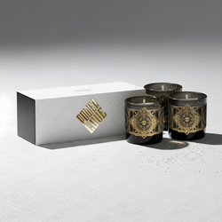 Paragon - Initio Parfums Privés – INITIO Parfums Privés